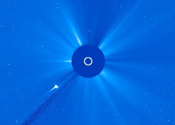 Cometa distrutta dal Sole e Potomac in allarme